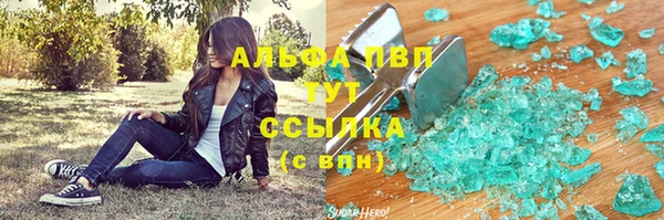прущие грибы Аркадак