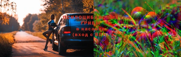 спайс Армянск